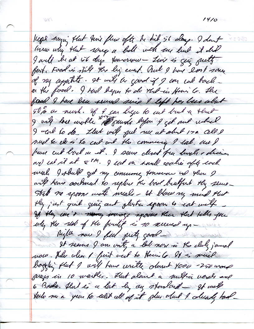 Dr John WorldPeace 2008 Prison Journal